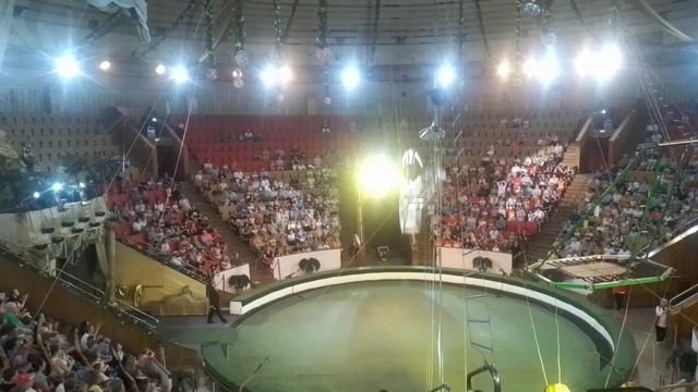 Цирковой номер без страховки