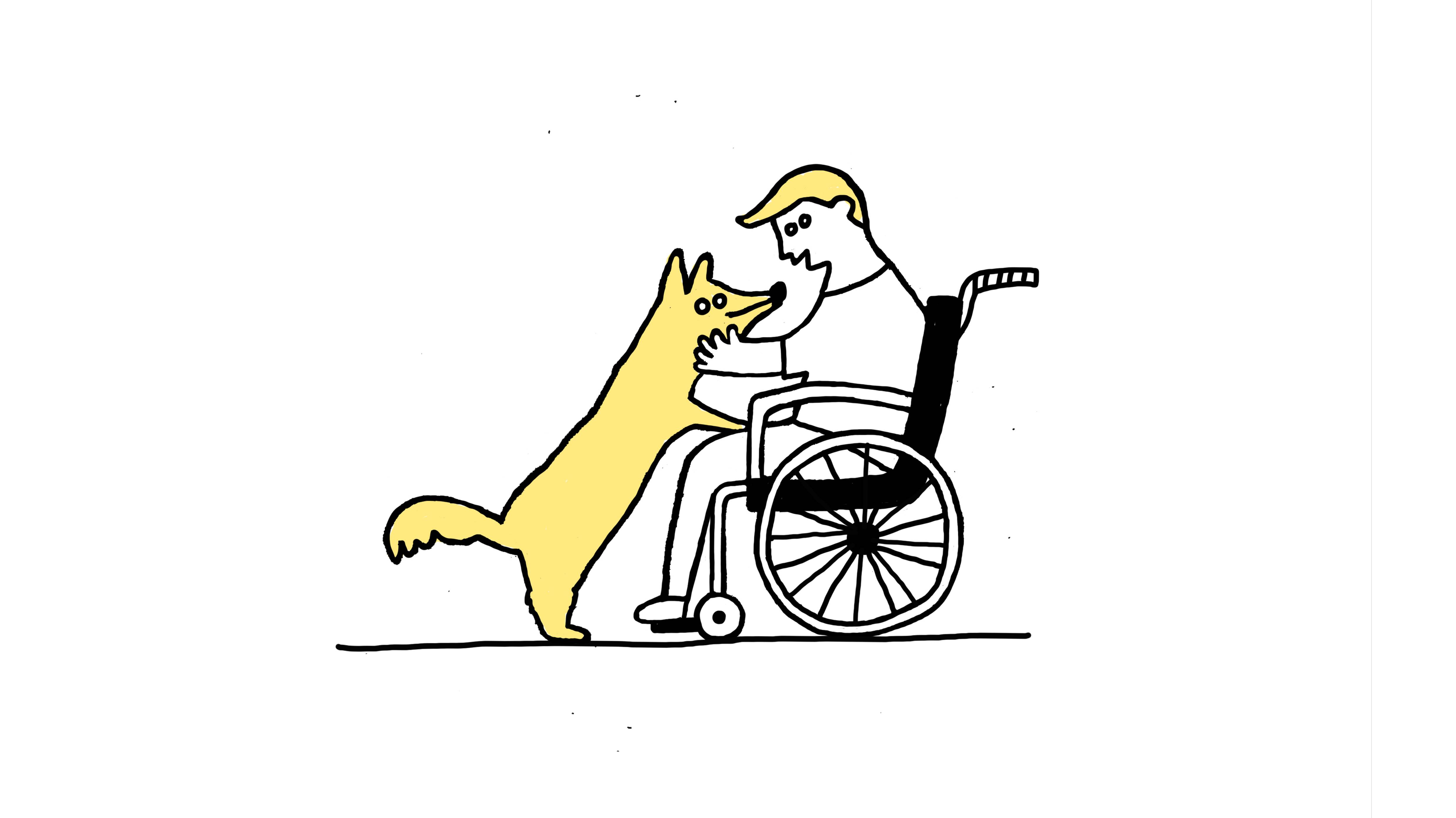 Шкода-помощница