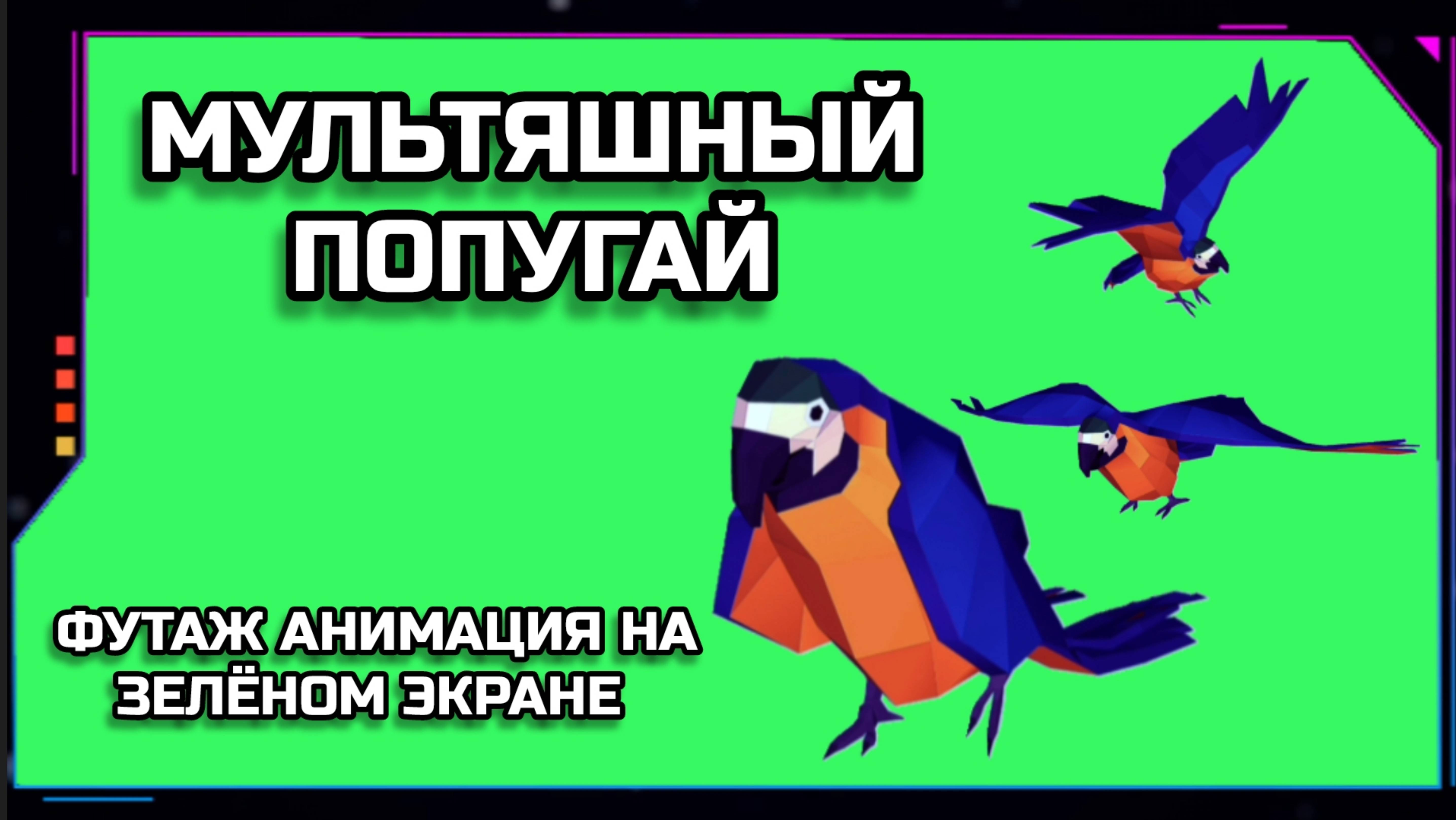 МУЛЬТЯШНЫЙ ПОПУГАЙ видео GREEN SCREEN футаж. ХРОМАКЕЙ АНИМАЦИЯ на зелёном фоне.