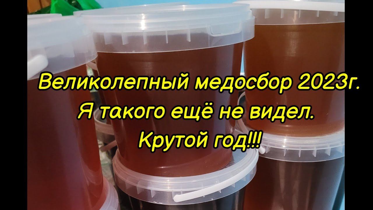 Великолепный медосбор 2023.(21 августа). Я такого ещё не видел. Крутой год!!! Всем добра!