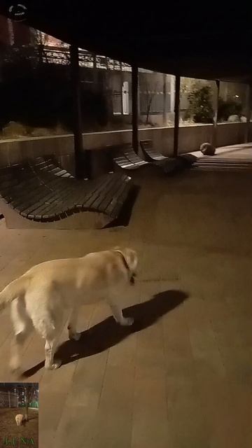 Водоем с ключём