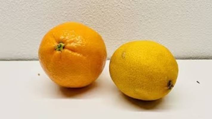 Цитрусовый курд. Маринкины творинки. Всем МИРА и Добра!