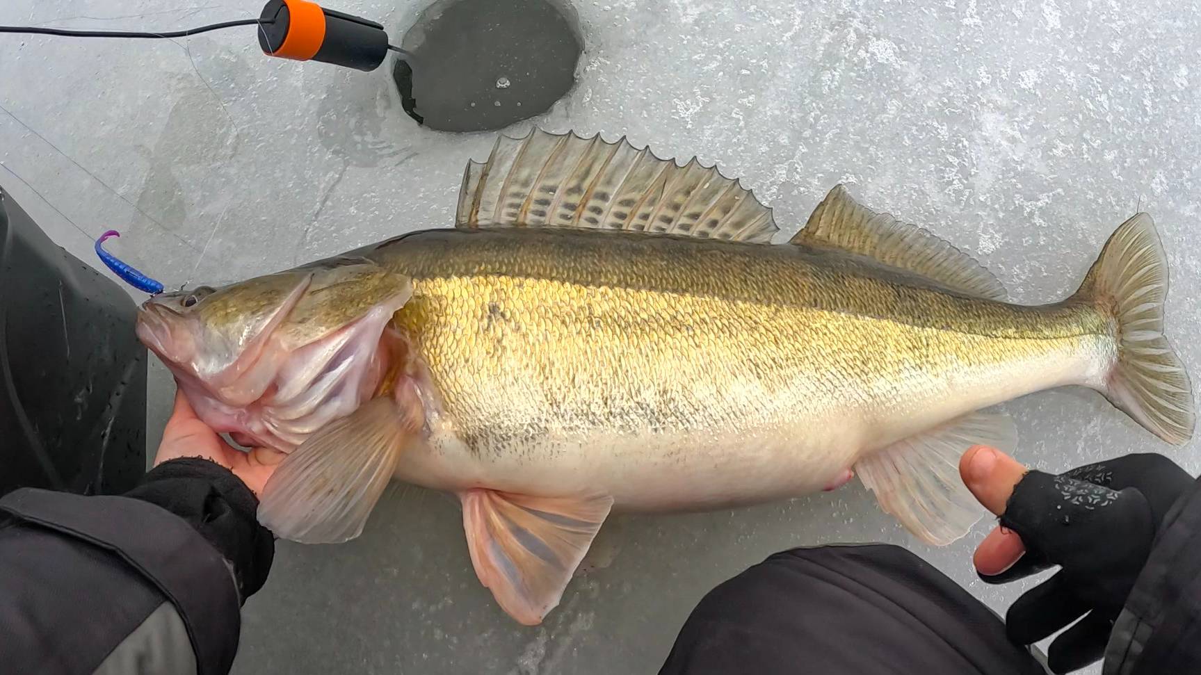 ЕЛЕ ВЫТАЩИЛ ЭТО ЧУДОВИЩЕ и НА ЧТО... Рыбалка на зимой, судак со льда в 2025