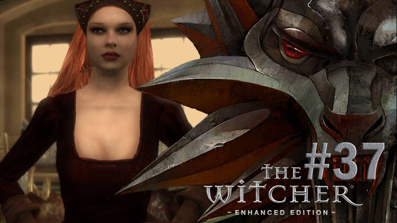 Прохождение Ведьмак. Принцесса Ада #37