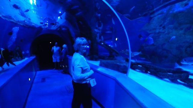 2025.02.03. ОАЭ. Шарджа. Sharjah Aquarium ...