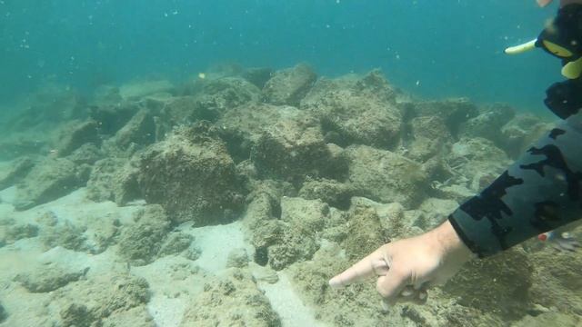 ОАЭ Дайвинг 2