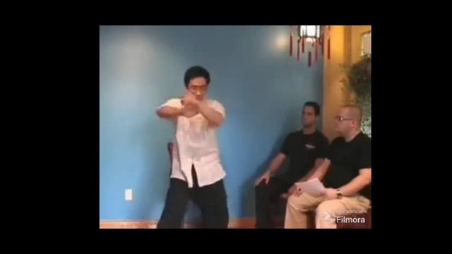 14. Хай Ян о силе в багуачжан