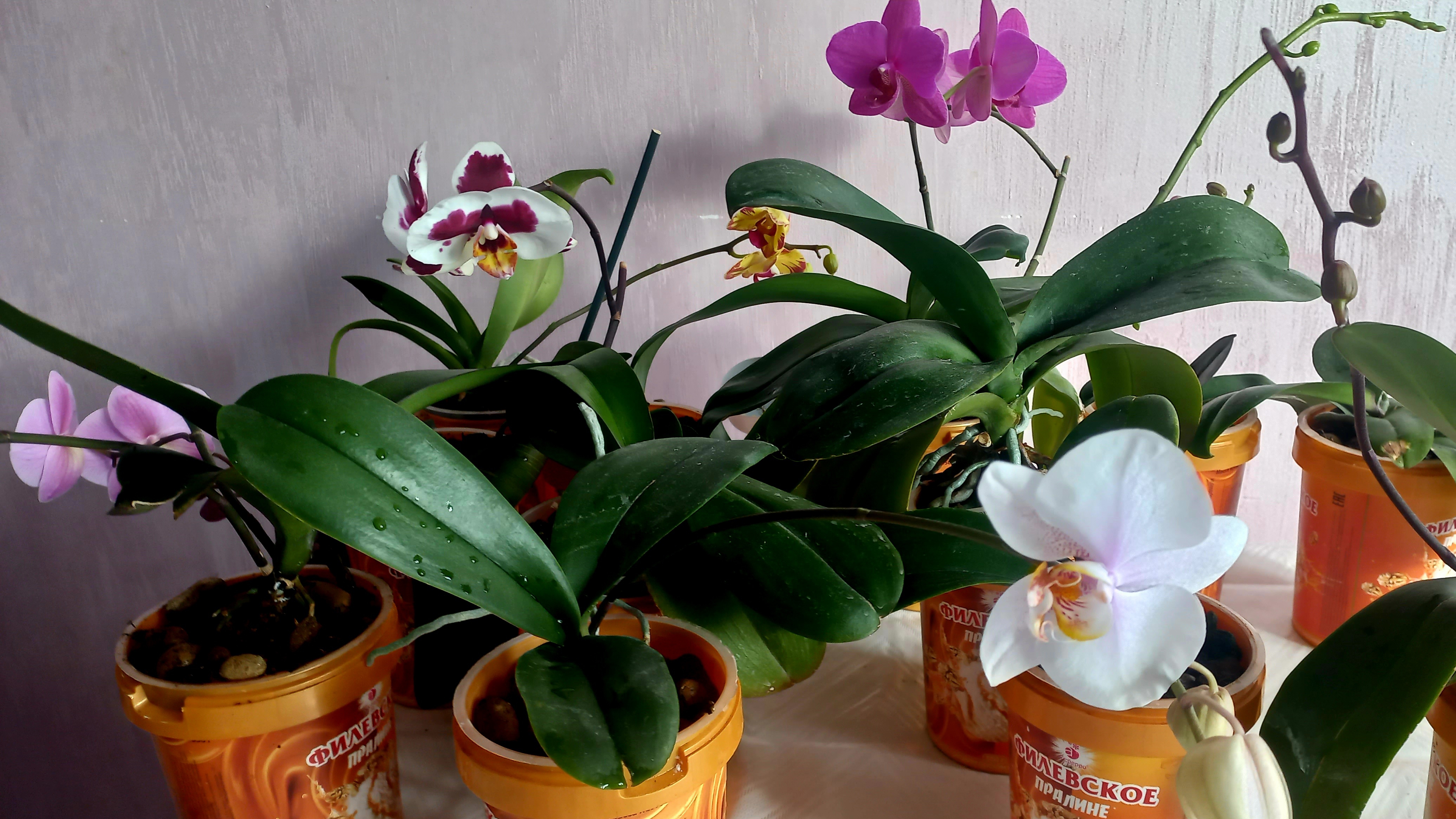 Сегодня займемся цветами