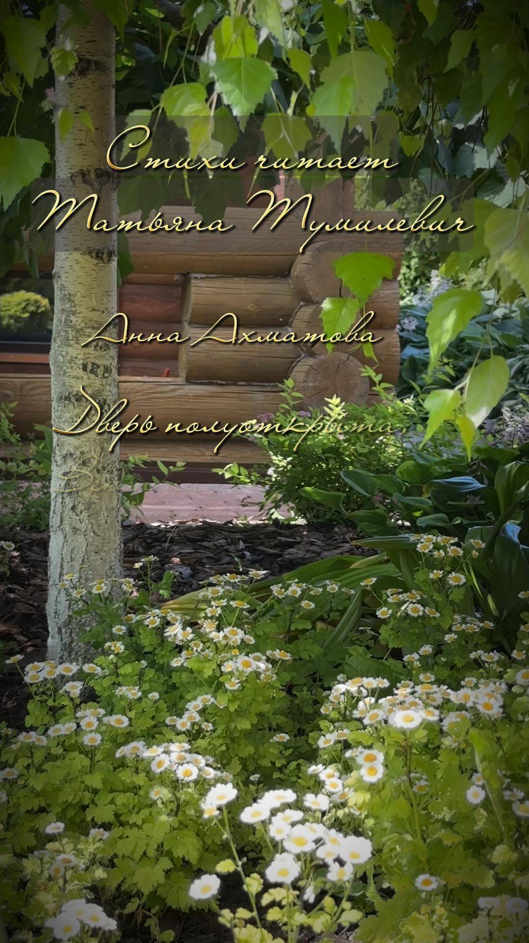 Анна Ахматова "Дверь полуоткрыта...". Стихи читает Татьяна Тумилевич.