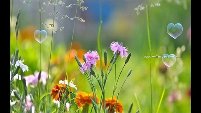 Теплый вечер