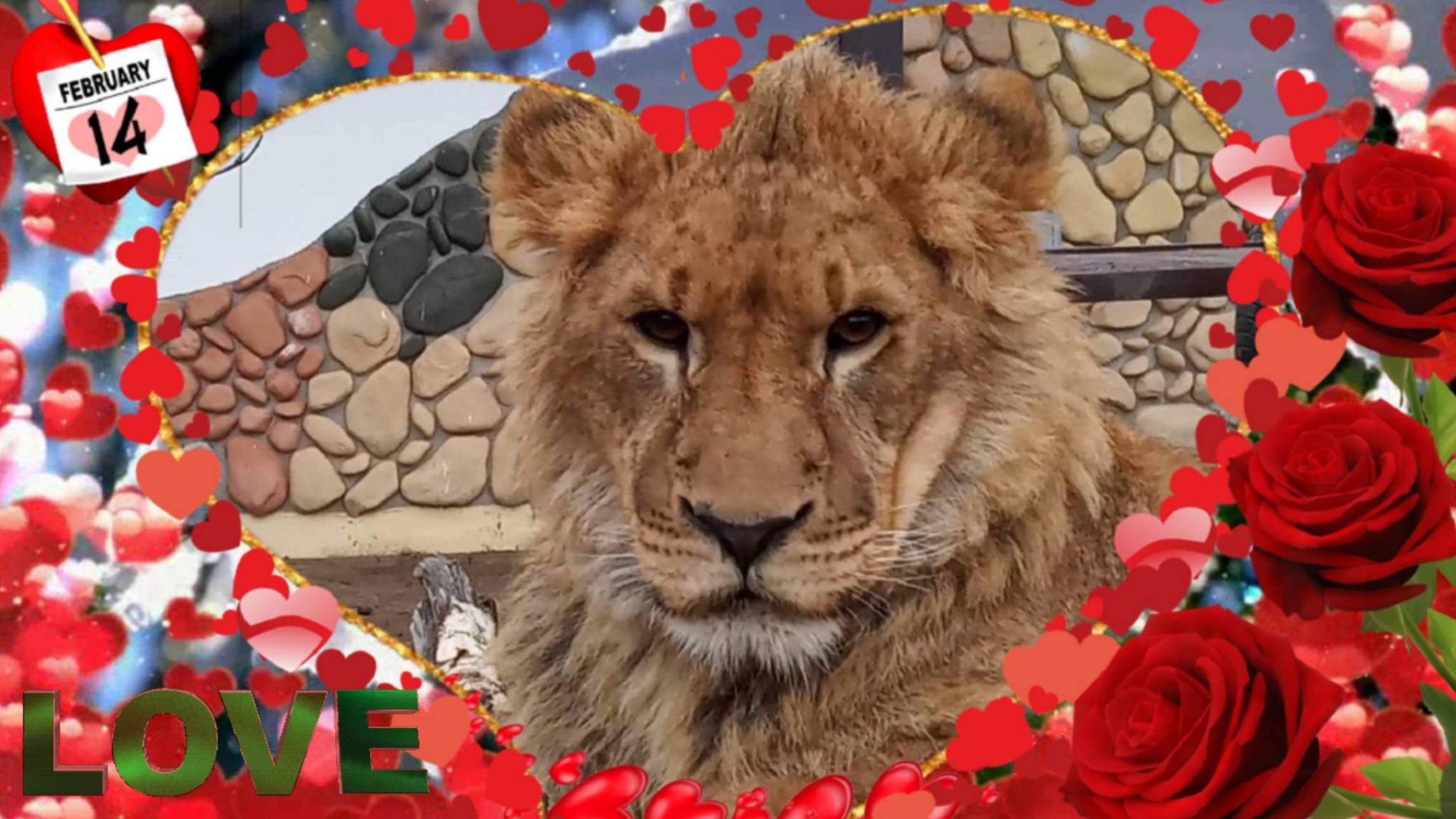 Валентинка для тебя. /  ШЕРХАН ПОРШ и СИМОЧКА поздравляют  друзей с 14 февраля.