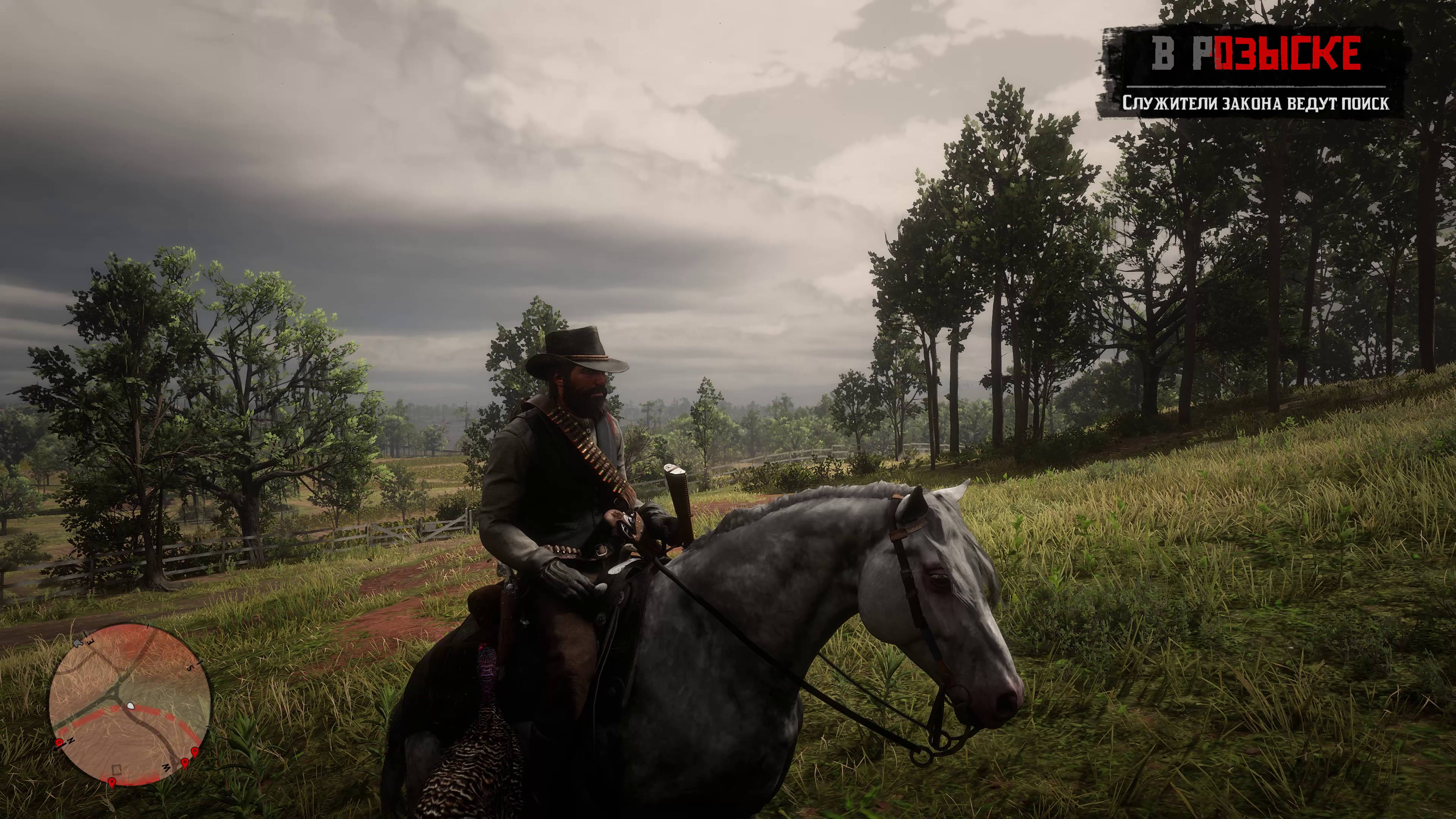 RDR 2 #red dead redemption 2