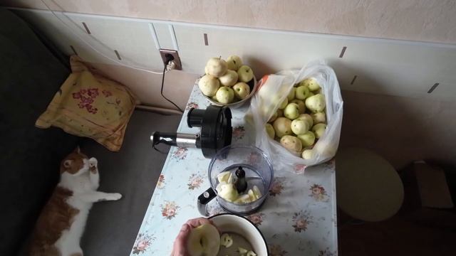 Закваска для яблочного вина