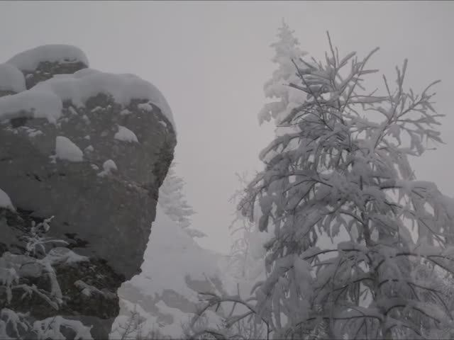 День рождения "Лимона". Кенчурские скалы (24.11.218)