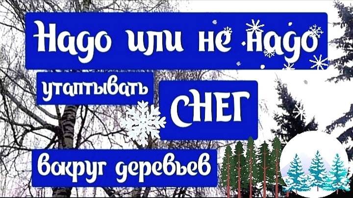 Ваш сад зимой. Зимовка деревьев