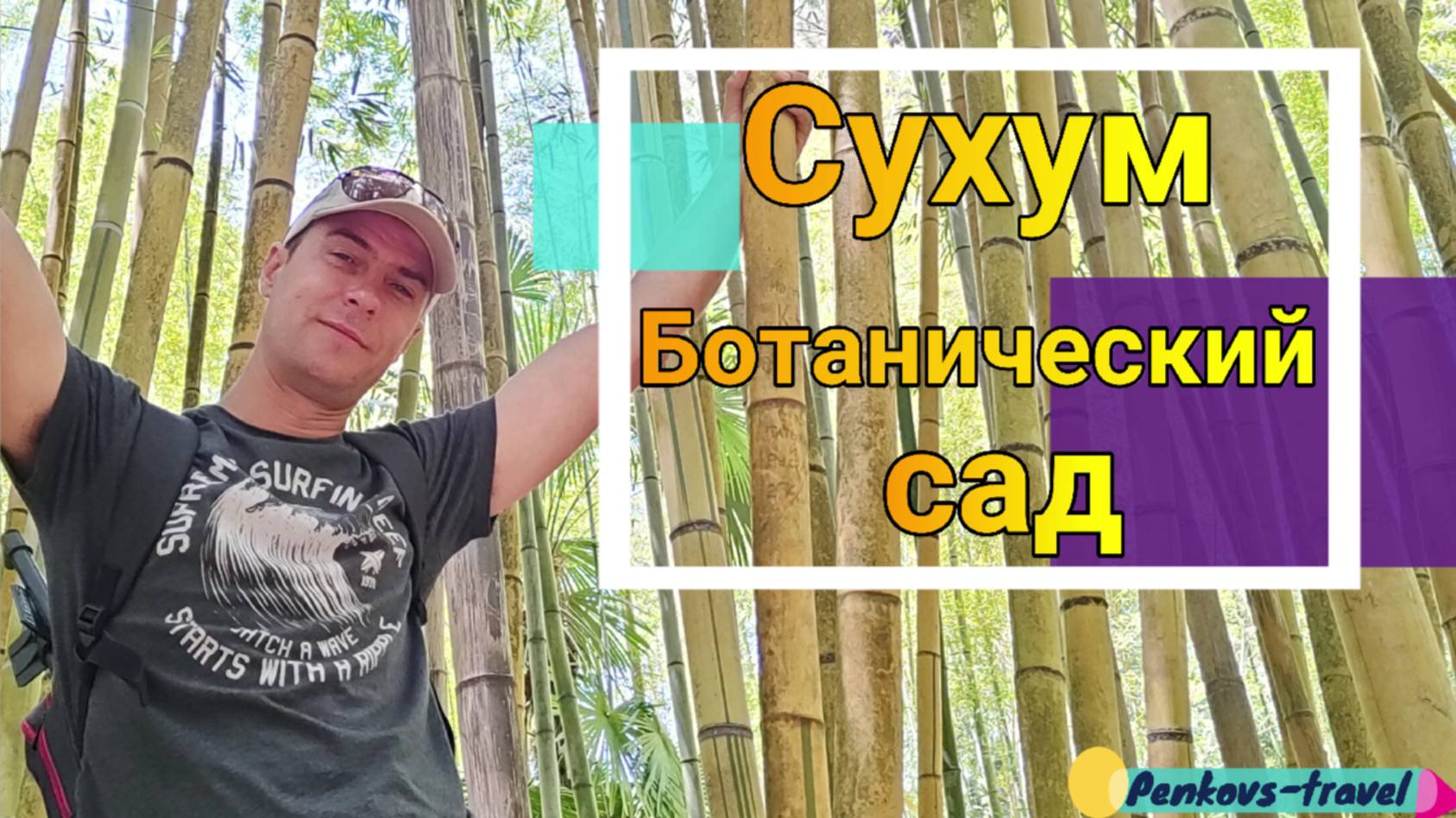 Ботанический сад в Сухуме, прогулялись, увидели старую липу #АБХАЗИЯ