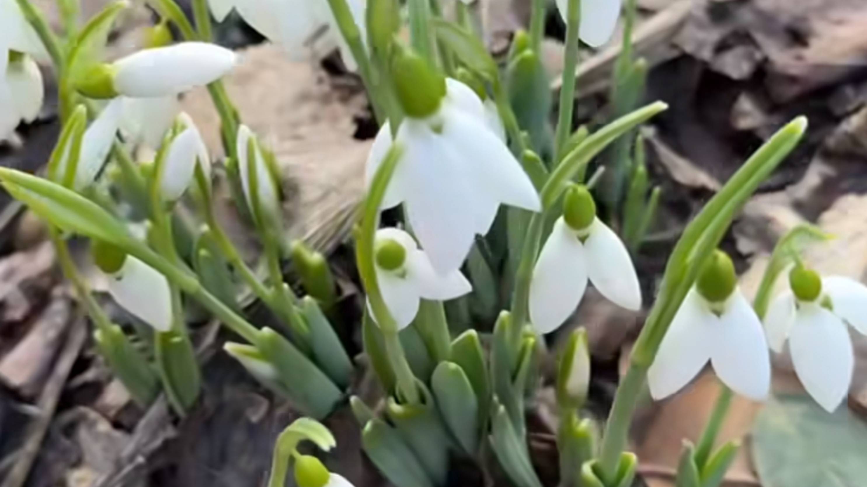 Верхняя полка комода с моим содержимым.