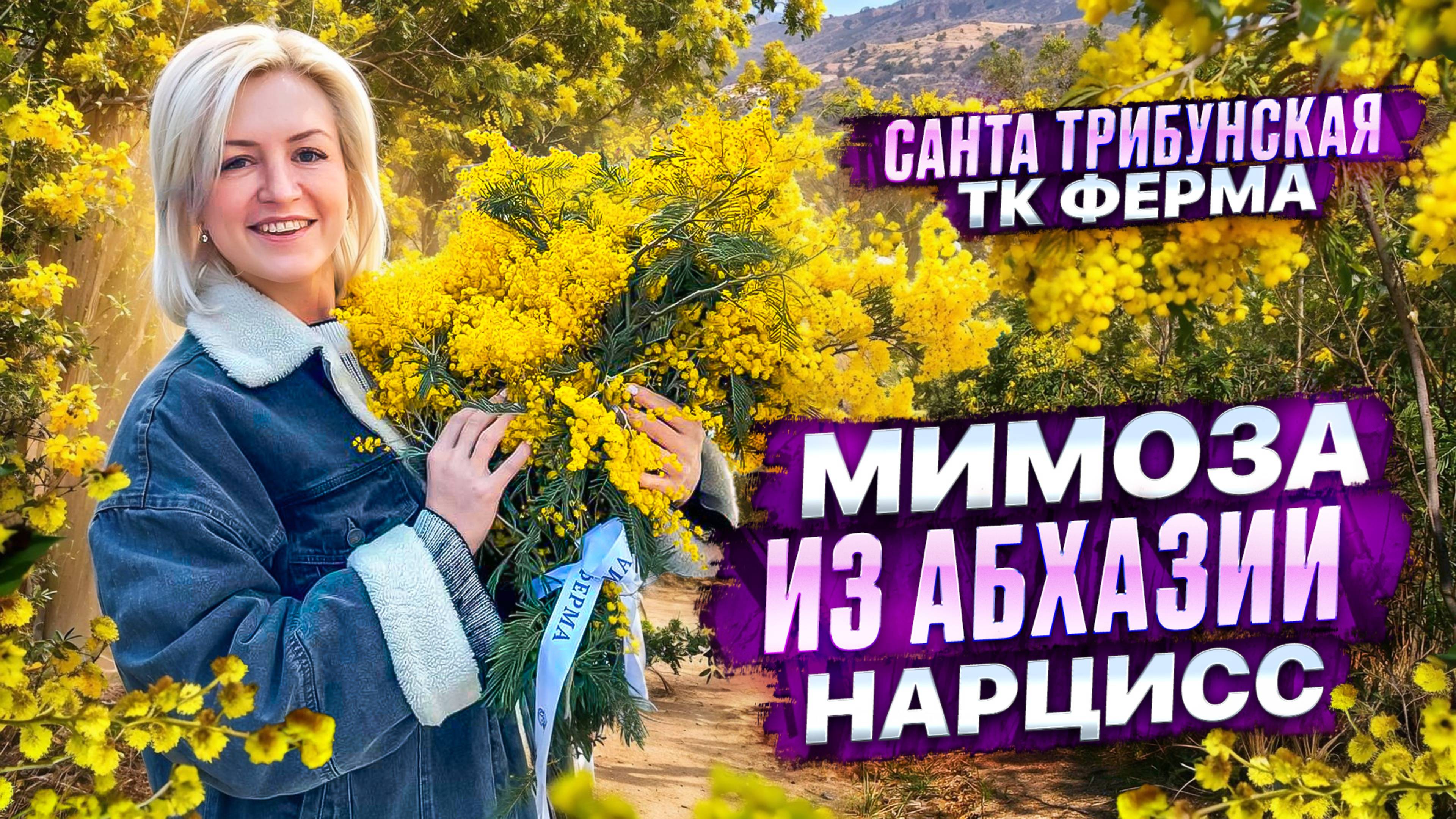 МИМОЗА И НАРЦИСС ИЗ АБХАЗИИ