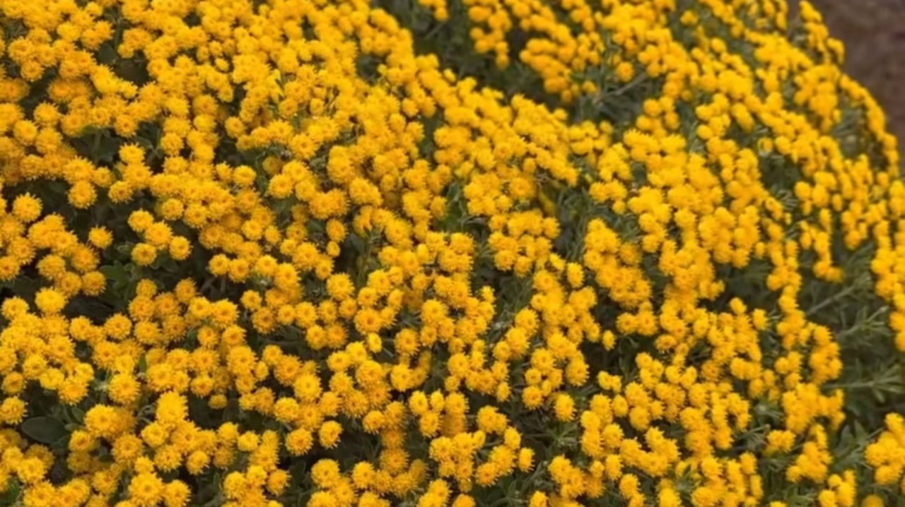 Сказочные скидки/Бюстгальтер, трусы, шапка, воротник, носки, тарелки... /Обзор заказа Фаберлик.