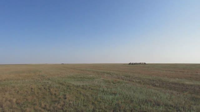 Исчезнувший хутор Ильиновский, Новоузенский район (панорама).