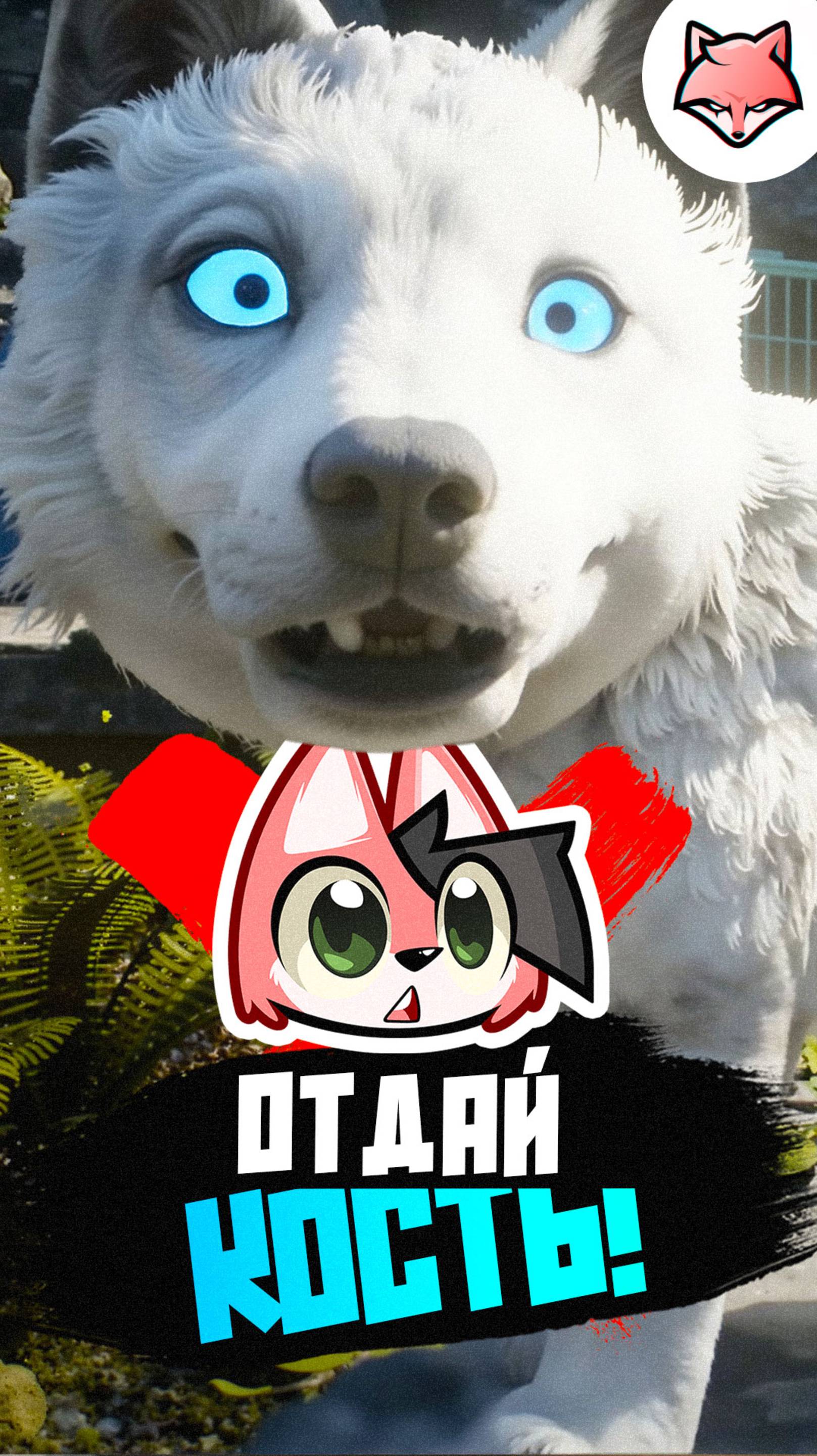 Отдай кость!