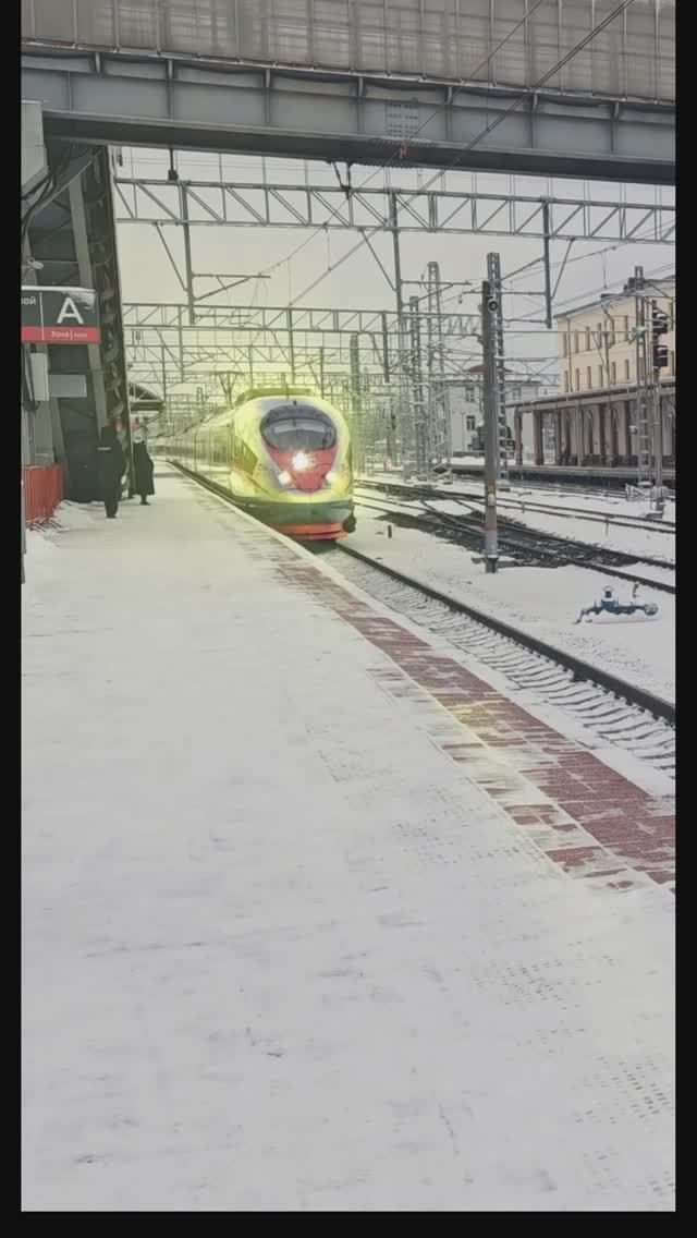 Сапсан. Из окна поезда зимой.