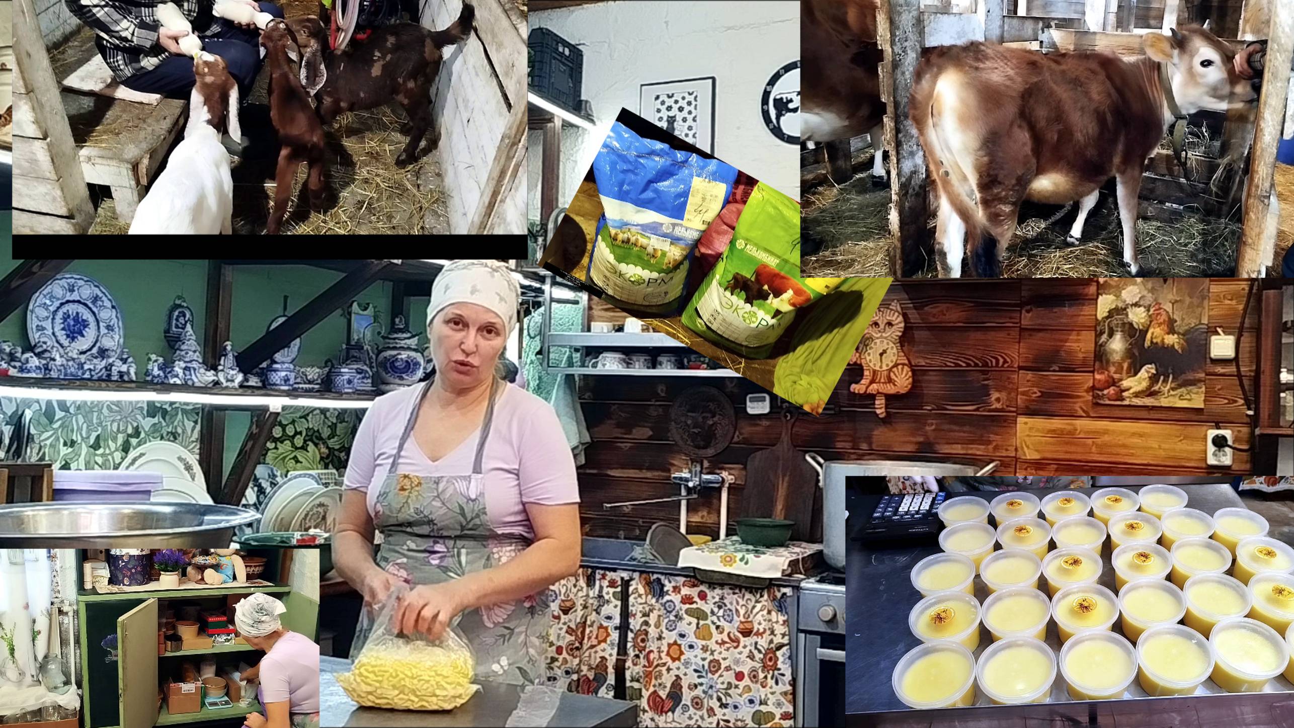 ГОТОВИМСЯ К ОТЕЛУ ПЕРЕВОДИМ КОЗЛЯТ НА КОМБИКОРМА