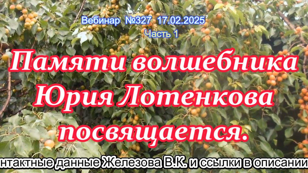 Железов Валерий. Вебинар 327. ч.1. Памяти волшебника Юрия Лотенкова посвящается.
