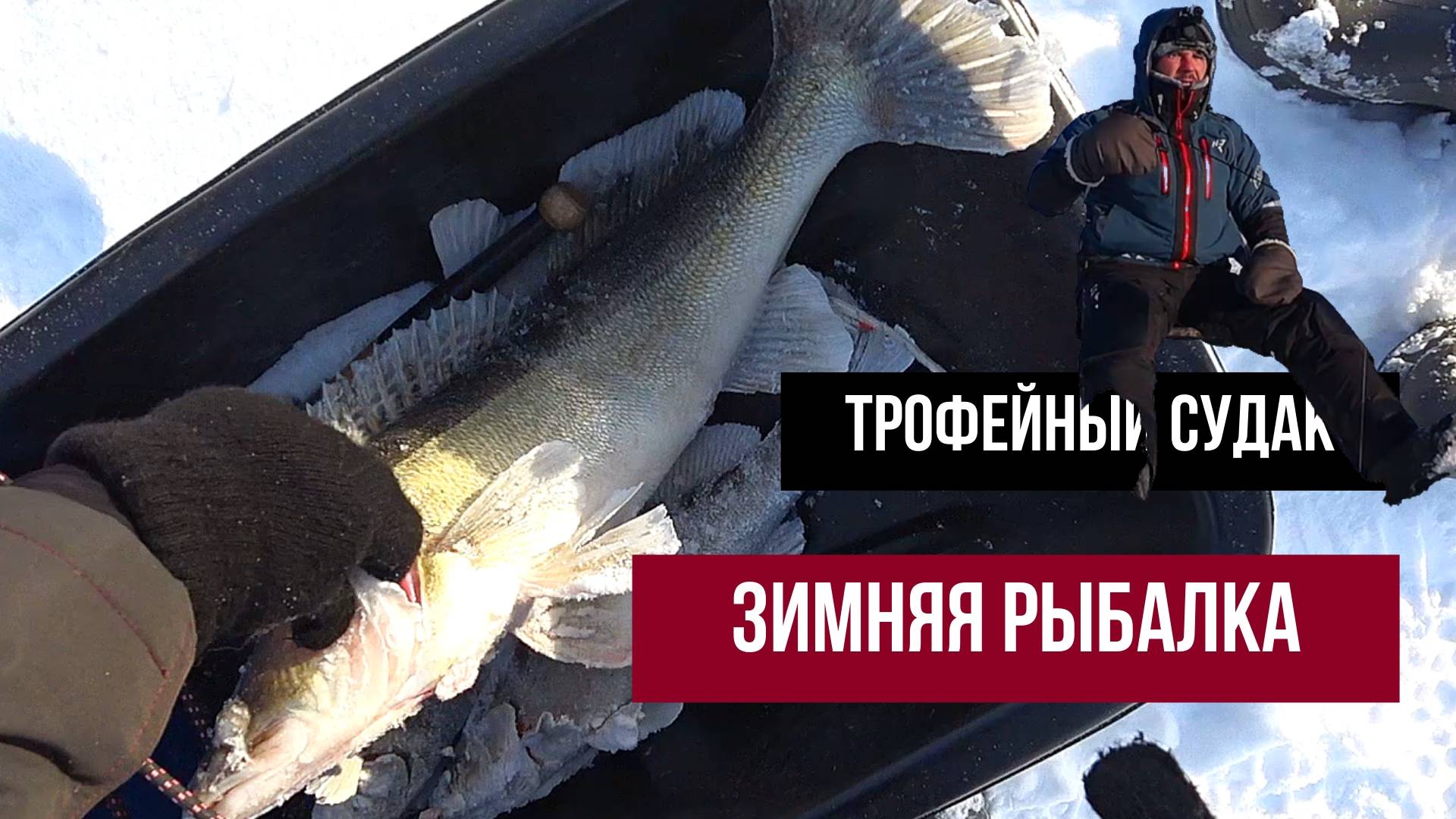 ТРОФЕЙНЫЙ СУДАК: ЗИМНЯЯ РЫБАЛКА С НЕОЖИДАННЫМ ИТОГОМ
