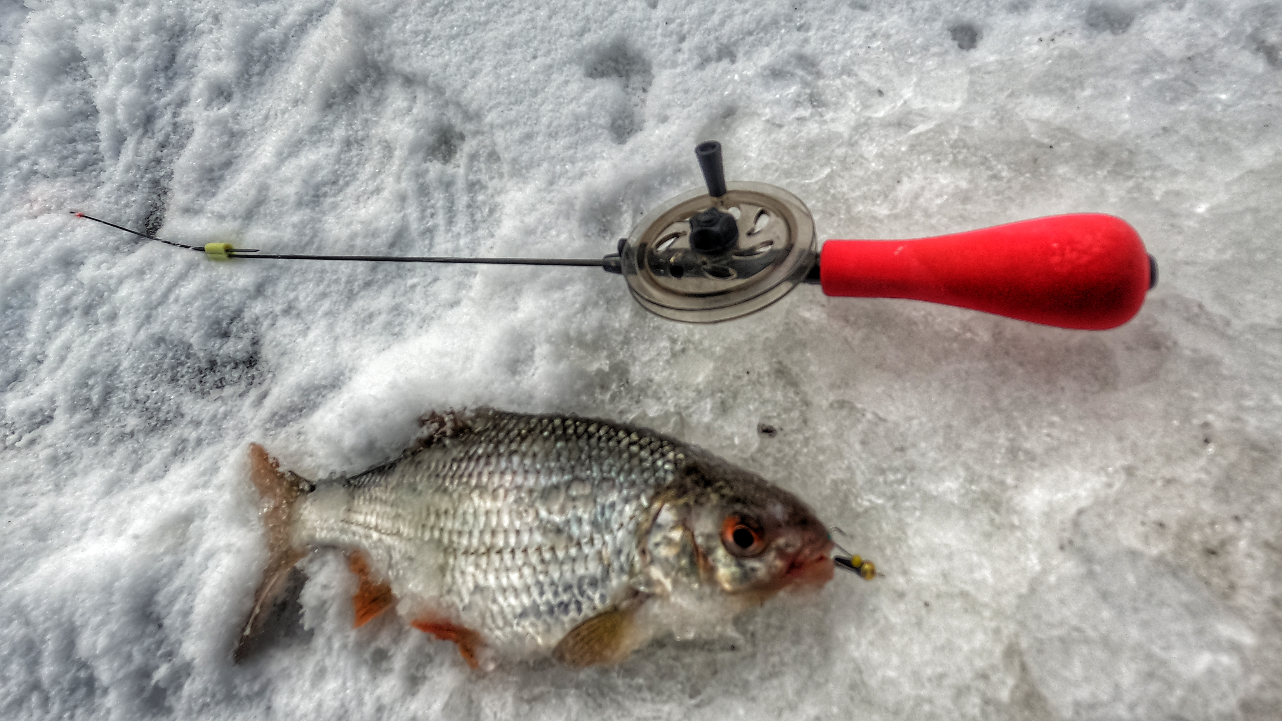 ЭТА МОРМЫШКА КОСИТ СТАИ ПЛОТВЫ! ПО ДЕСЯТЬ РЫБ С ЛУНКИ! ВОЛШЕБНАЯ,, ВЕДЬМА,,. РЫБАЛКА НА БЕЗМОТЫЛКУ