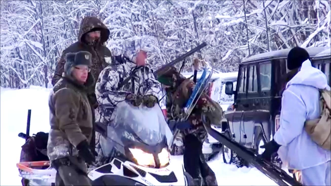 ОХОТА НА ВОЛКОВ. Костромская обл. Шарьинский р-он.#охотасгончей#собака #животные#топ#hunting#волки