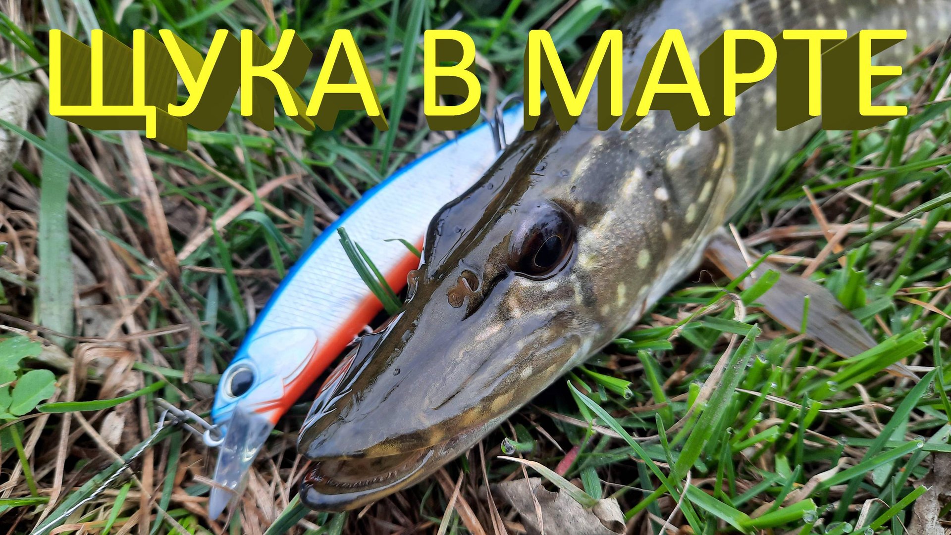 🔥 ЩУКА в МАРТЕ. Джиг или воблер? Keitech Swing Impact Jackall Tiny Magallon DUO Realis Jerkbait 🔥