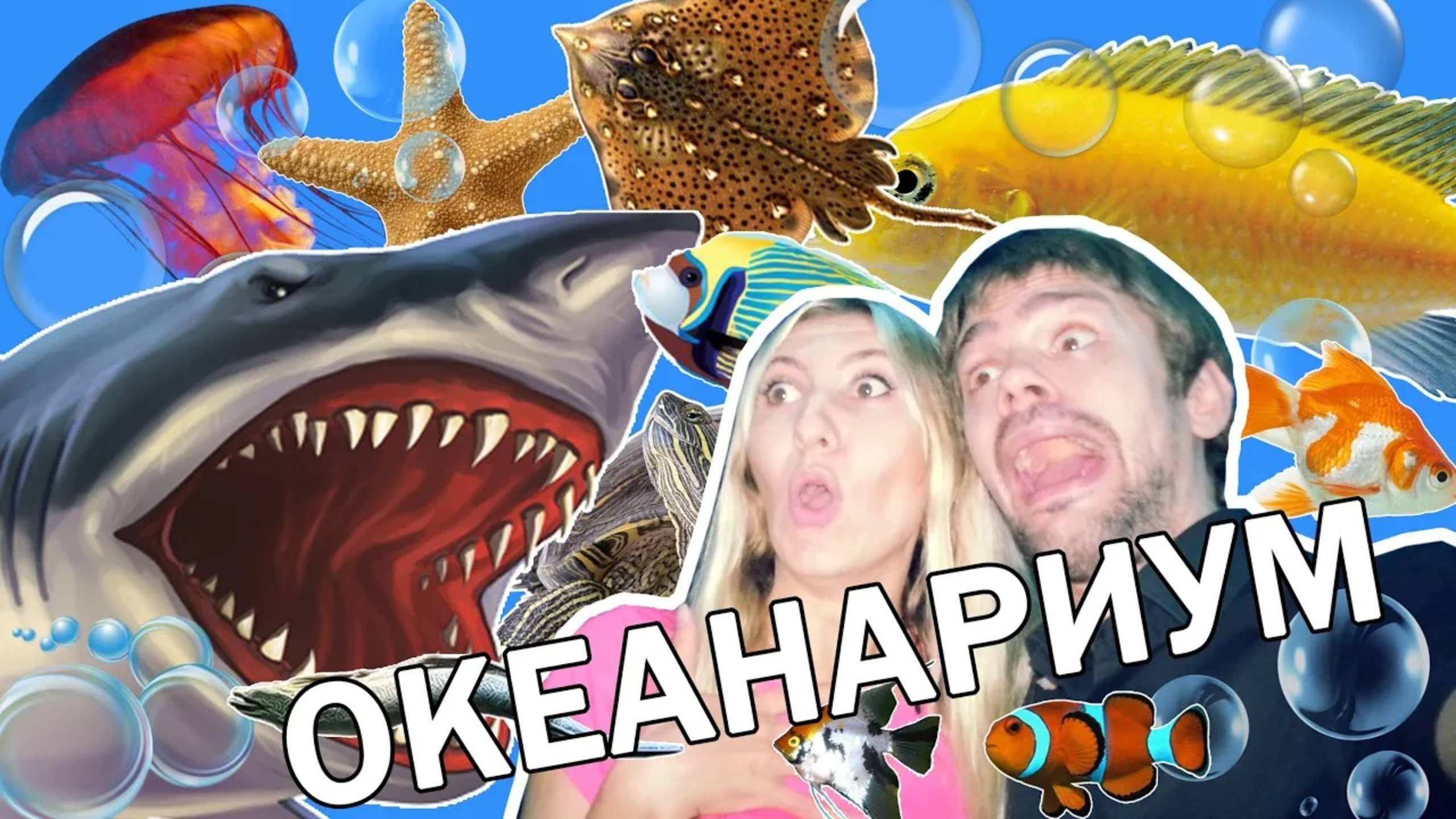 Океанариум в Паттайе - мы хоть и большие, но это у нас первый раз. Честно, мы в шоке