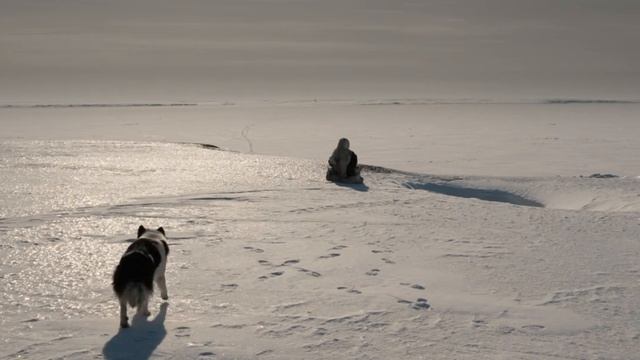 Лёд - Роман Харланов