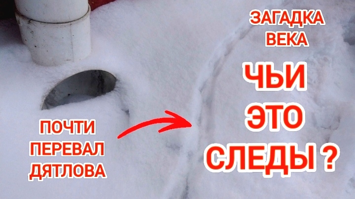 Загадочные следы