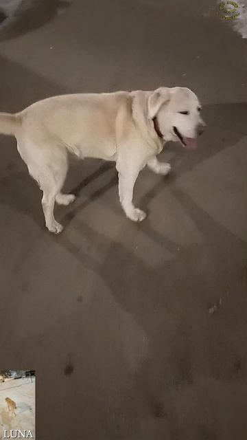 Неожиданная зима