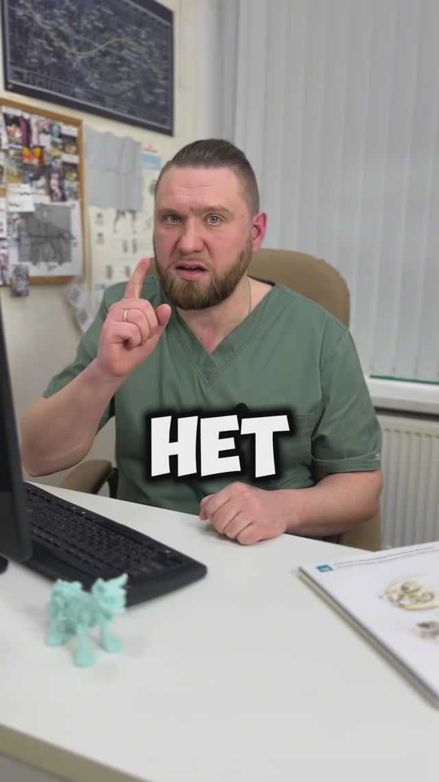 3 мифа о реабилитации собак, в которые вы всё ещё верите.