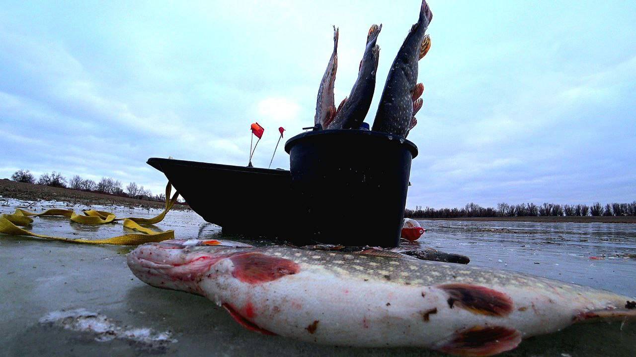 ТРЕТИЙ ПЕРВЫЙ ЛЁД! ЩУЧИЙ ГЕН, УЛОВ НА УЖИН, ТАЙНОЕ ОЗЕРО/СБЫЛАСЬ МЕЧТА - РЫБАЛКА В ПАЛАТКЕ СО ЛЬДА!