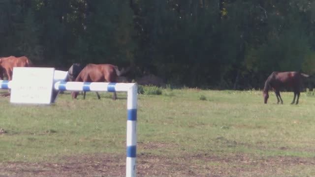 ХУТОР СТЕПЬ