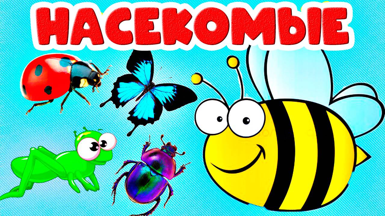 Учим Насекомых - Развивающий мультик для детей - Познавательное видео для малышей