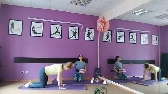 7 bodies - Чатуранга Дандасана