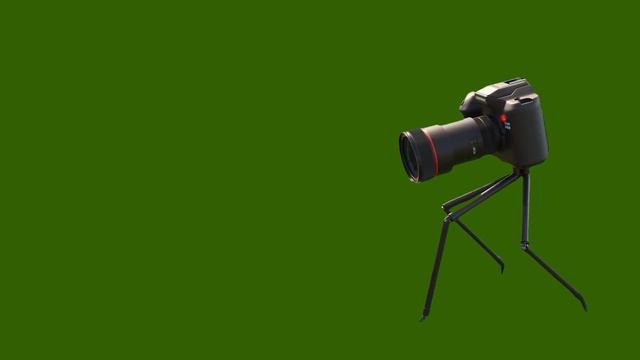 Фото охота ПЕРЕХОД