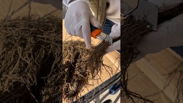 Образцы на проверку