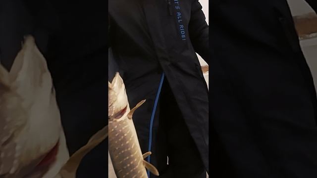 Ловля щуки в феврале