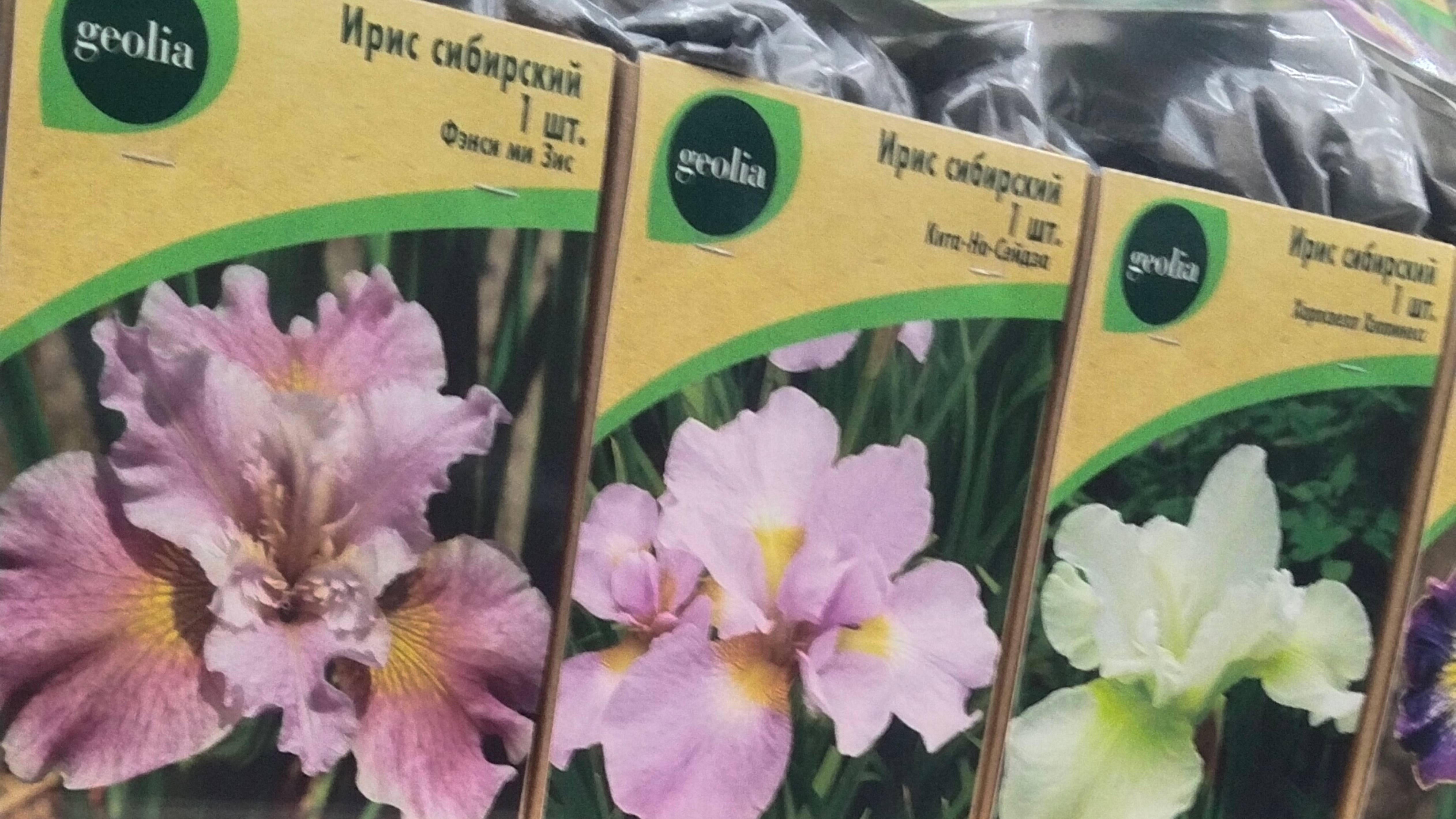 Вот такое разнообразие садовых растений в Лемана Про в конце февраля 2025