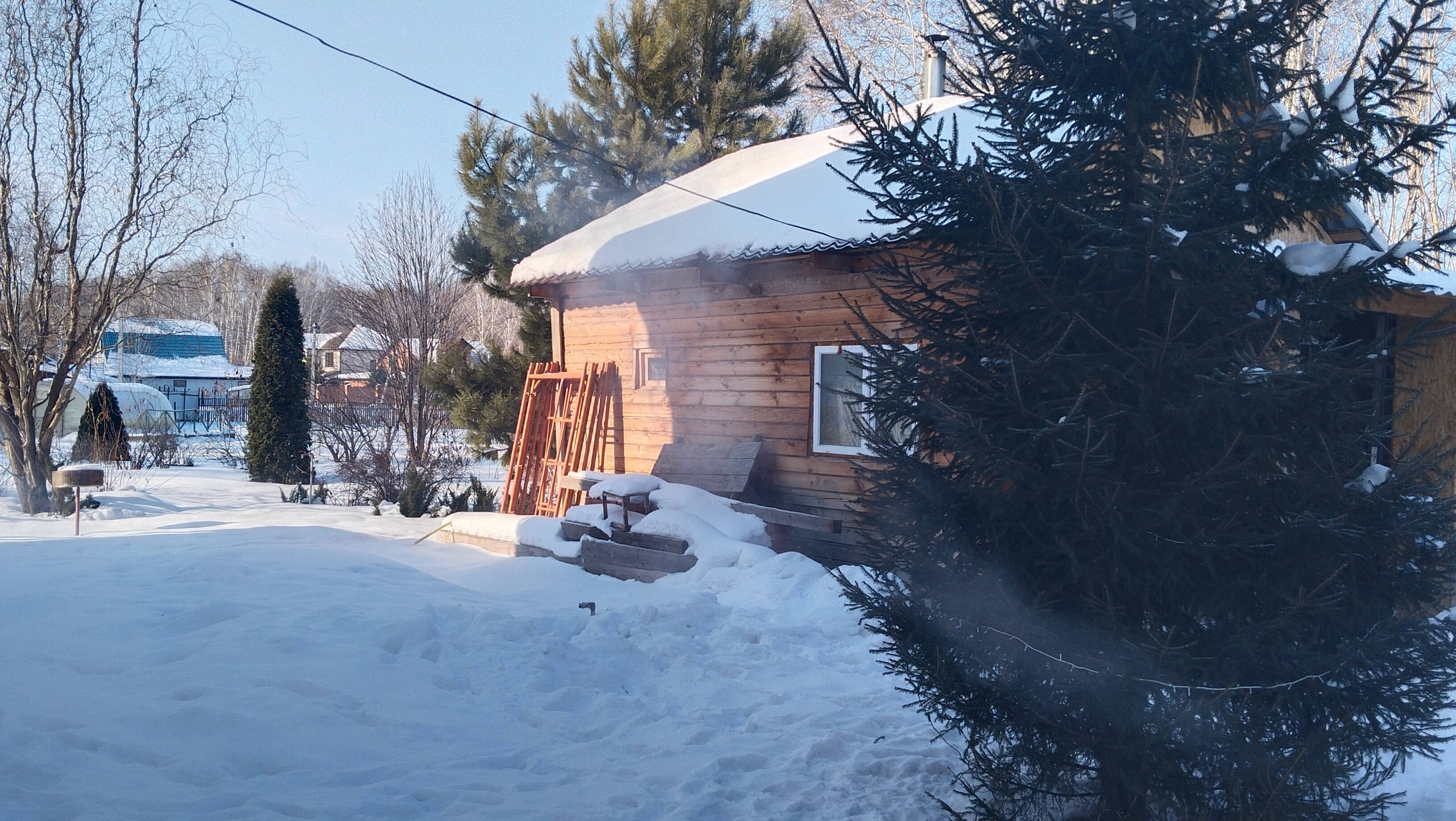 Воскресный день. Февраль. Праздник. Прогулка по саду