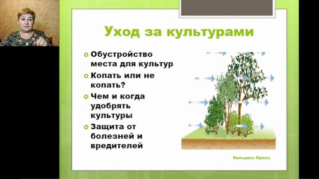Выращиваем без полива  Опыт 2021 года. Кольцова Ирина