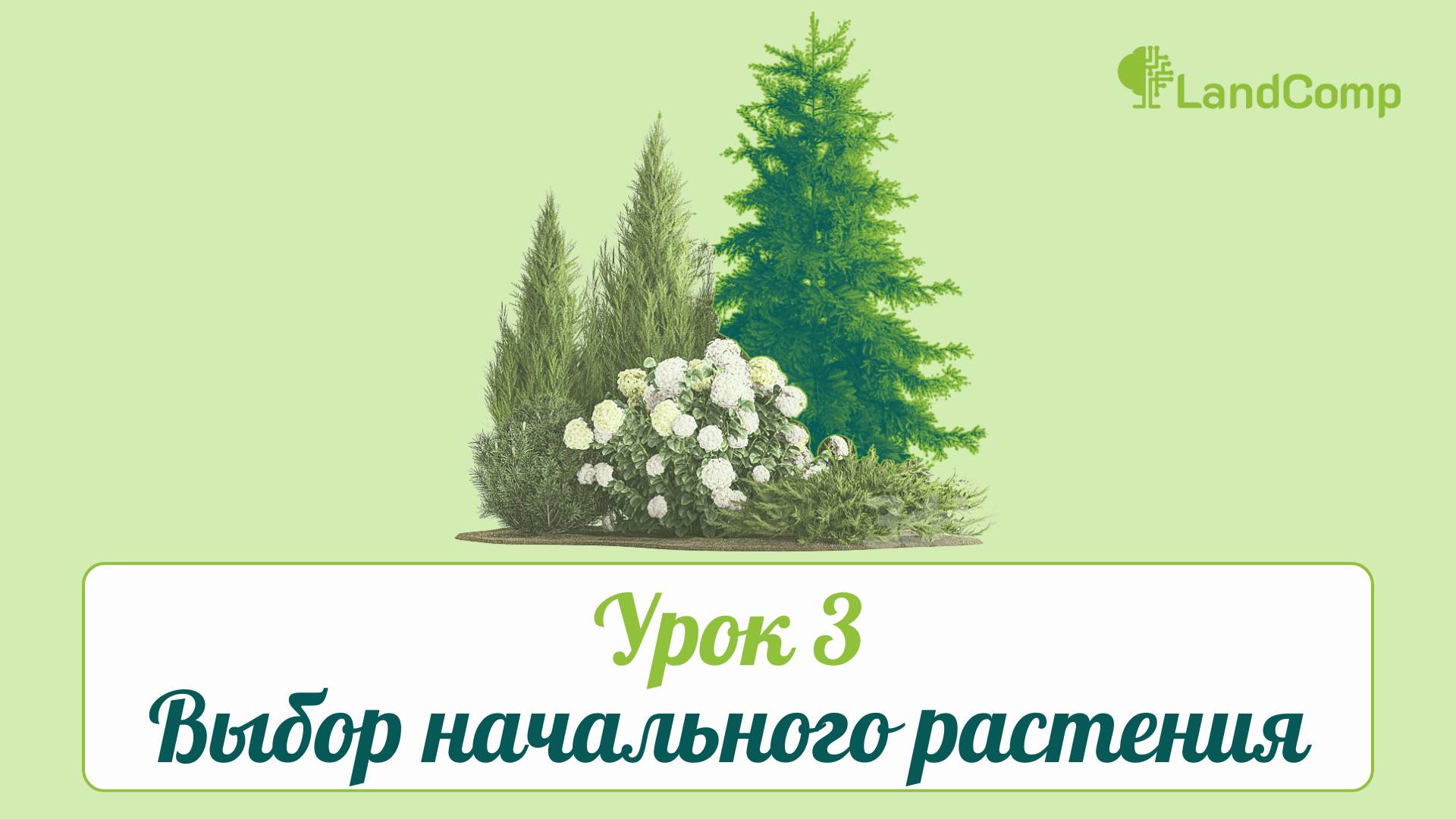 Урок 3. Выбор начального растения в онлайн-сервисе «LandComp»