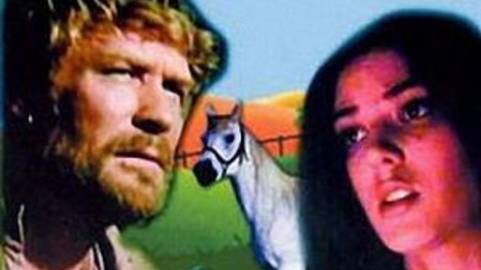 ОЧАРОВАННЫЙ СТРАННИК... красивая, проникновенная песня-баллада!!!