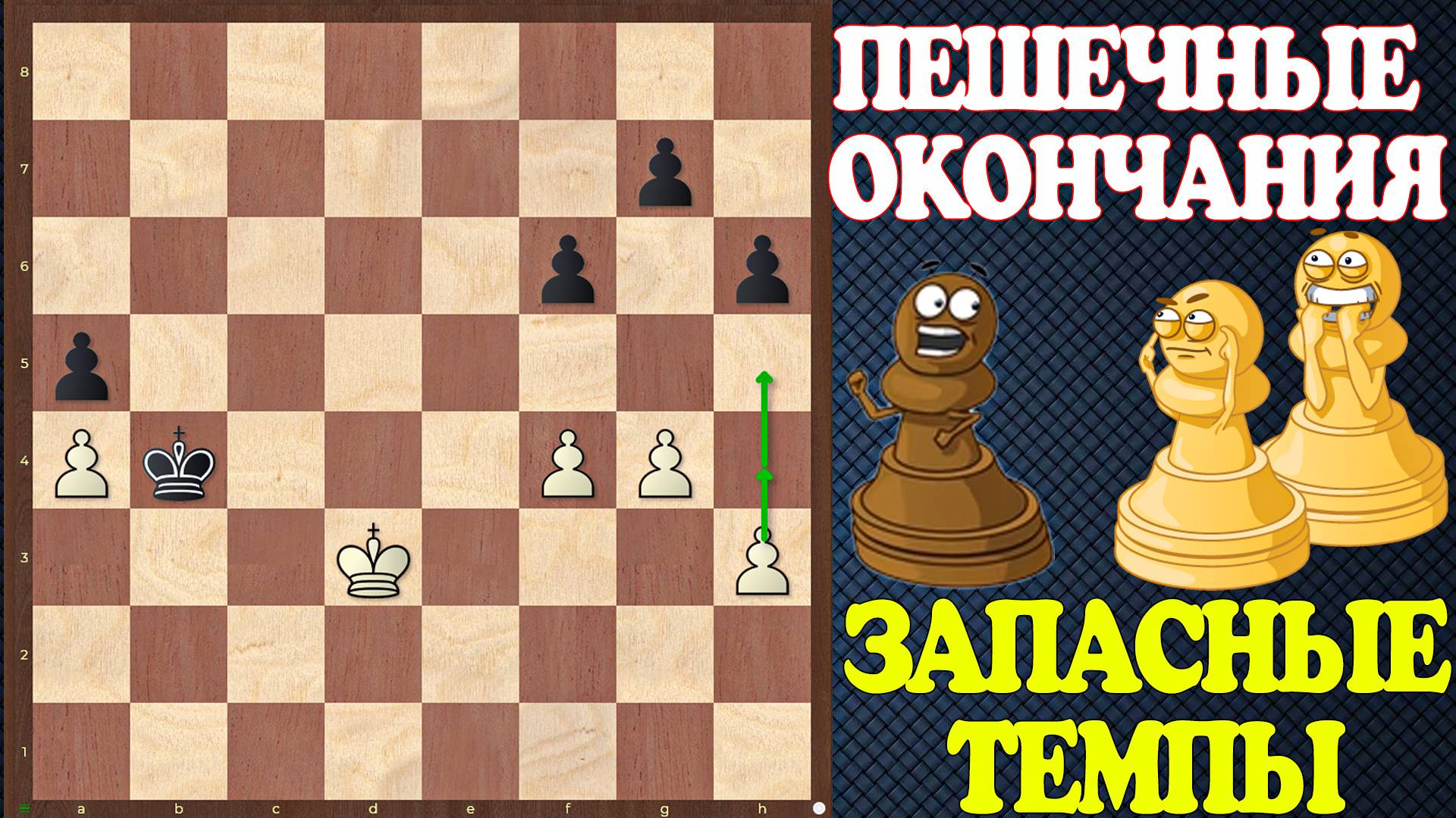 Шахматы. Учебник эндшпиля №23. Пешечные окончания. Запасные темпы